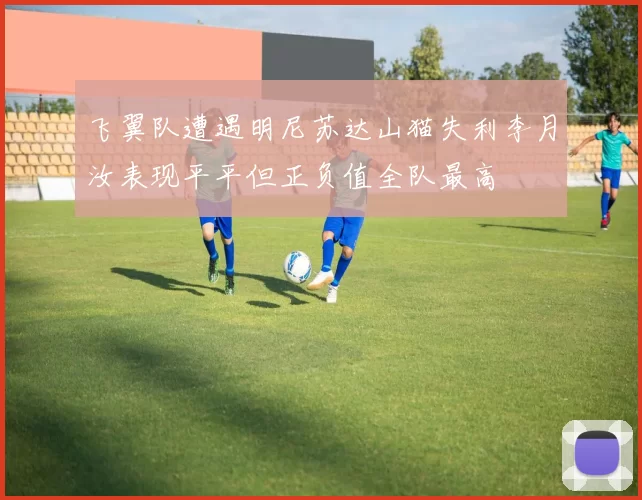 飞翼队遭遇明尼苏达山猫失利李月汝表现平平但正负值全队最高